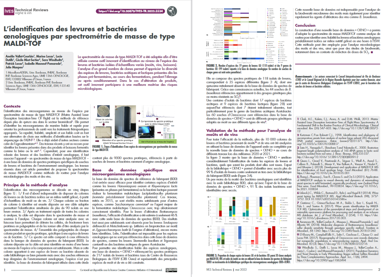 article maldi IVES 2022 2