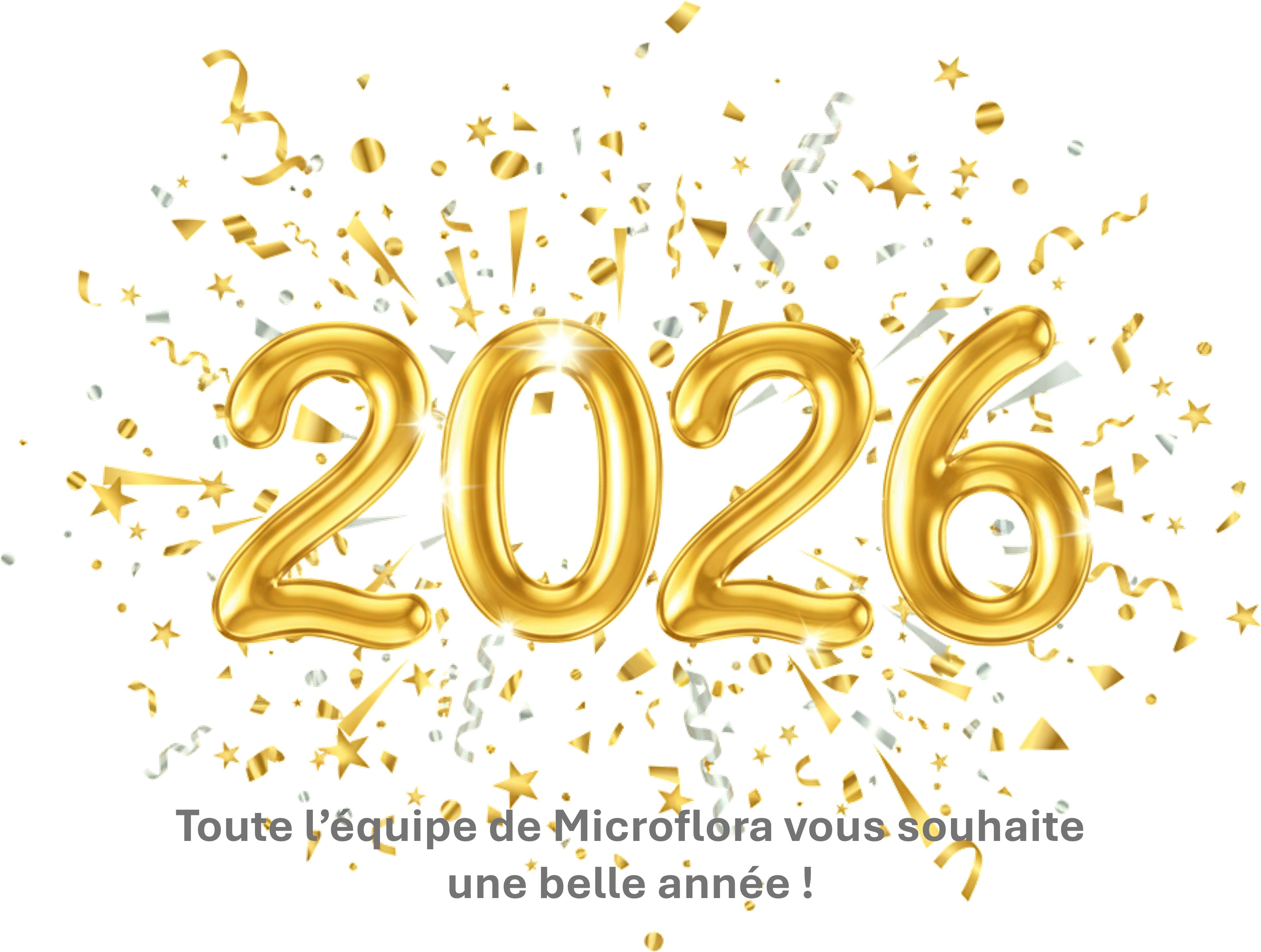 année 2026